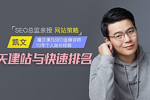 SEO网站优化SEO网赚|熊掌号|网站建设|快速排名|网络推广网络营销