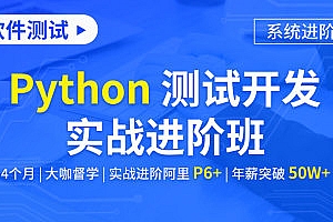 软件测试/Python 测试开发实战进阶班