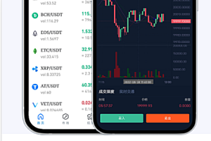 一款简单的投资圈手机引导页下载页面源码