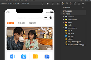 仿抖音滑动小短剧影视带支付收益等模式的微信小程序源码