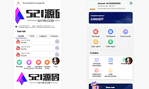 海外YouTube视频点赞悬赏任务投资理财源码/tiktok国际版理财