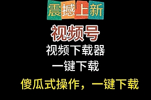 一款免费下载视频号的在线视频工具软件