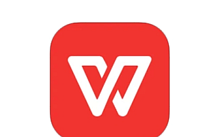 WPS Office 专业版 会员版