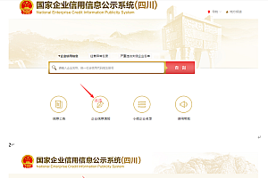 小型公司个体户年审申报教程,公司年审申报教程