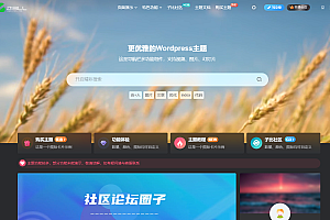子比主题最新版7.6绕授权破解完整教程