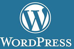 WordPress报错:Allowed memory size of 134217728 bytes exhausted错误解决方法