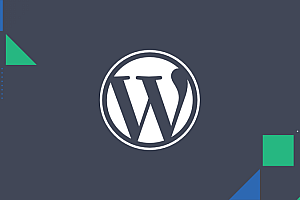 wordpress网站全方位速度优化