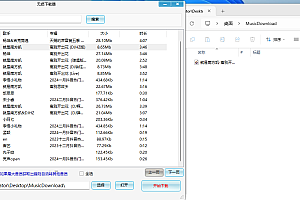 无损下载器1.1.0.0(3.6M)支持批量下载无损音乐完美无广告