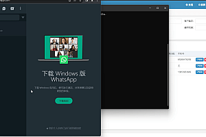 JAVA盗wsapp2.0版本/附带视频教程
