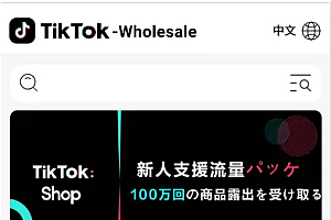 新版Tiktok跨境商城系统/多语言tiktok商城/内置客服/内嵌tiktok
