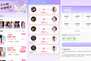 最新陪玩陪聊系统网站源码 娱乐交友系统公众号版